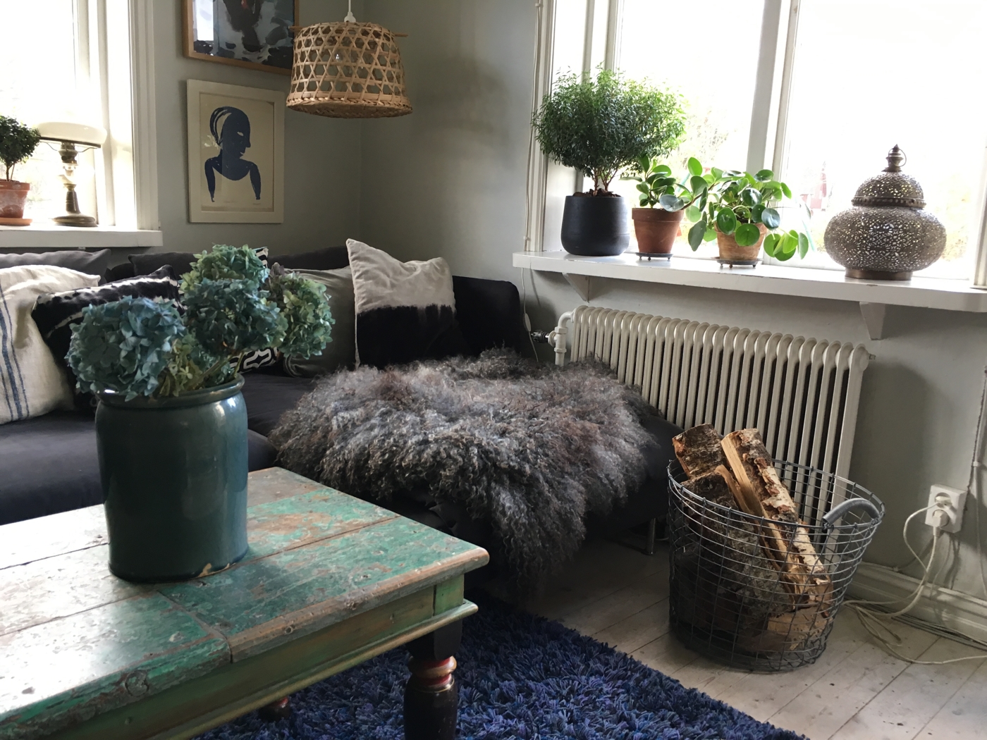 TrädgÃ¥rdsrÃ¥dgivning i laholm, bÃ¥stad & halmstad – anemone trädgÃ¥rd ...