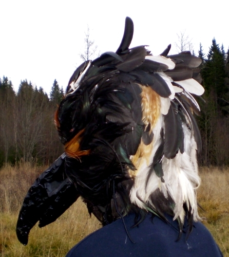 Bird Mask Creation By Shara