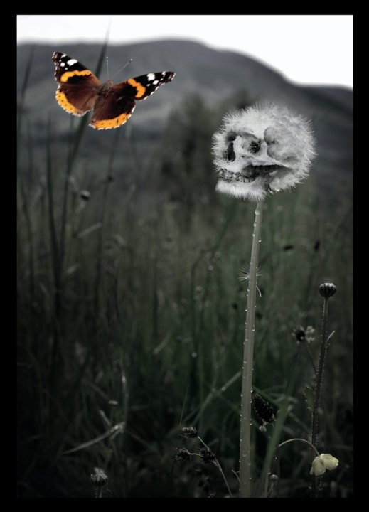 Skull Wish Digital. Photographic Manipulation By Gareth J Swift