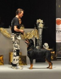 Tony and Atlas in the groupfinal at Sthlm HUNDmässa 2010...