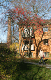 Foto: Robert Ekegren
