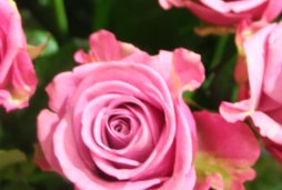 Rosbukett fr 100kr