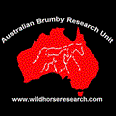 The Australian Brumby Research Unit 