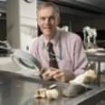 Professor Robert Bowker, VMD, PhD 