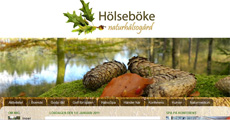 Företagsblogg, sökoptimering, företagssida på facebook, annonser, fotografering