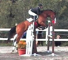 Camaistro på 4-års semifinal.