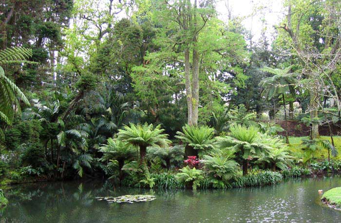 Parken Furnas