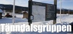 längdskidor