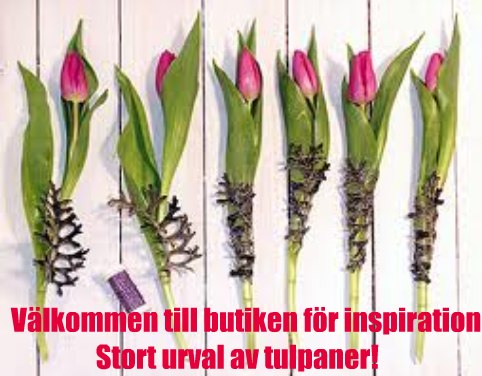 Kom till butiken för inspiration!