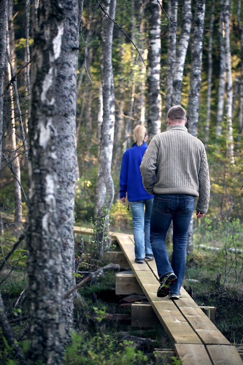 webbsida engelsk stort bröst webbsida engelsk stort bröst
