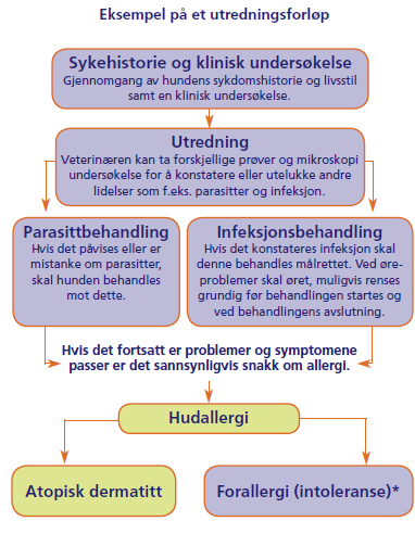 Bild og text fra Novartis Animal Health informasjonsblad for dyreier. Bild og text fra Novartis Animal Health informasjonsblad for dyreier.