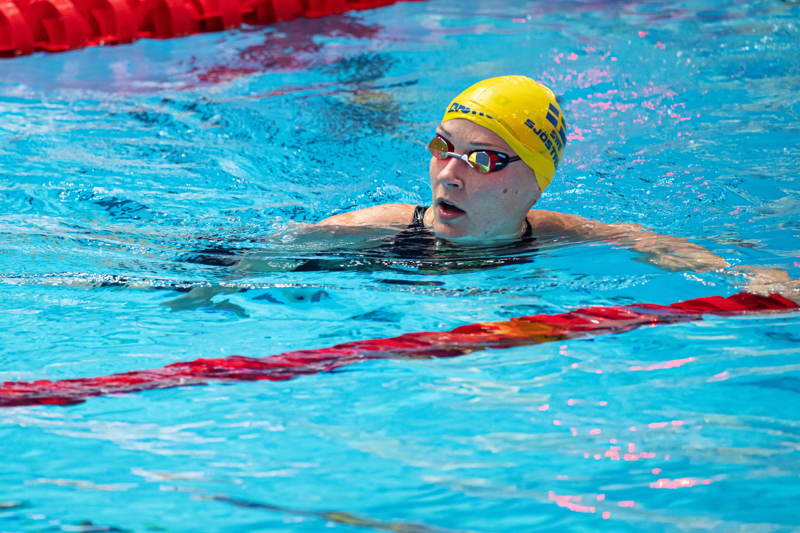 sarah sjöström 50 m fritt sarah sjöström 50 m fritt