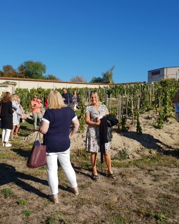 Foto:Champagne.se Champagne Bollinger VVF Foto:Champagne.se Champagne Bollinger VVF