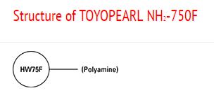 Structure of Toyopearl Structure of Toyopearl
