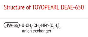 Structure of Toyopearl DEAE-650 Structure of Toyopearl DEAE-650