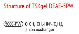 Structure of TSKgel DEAE-5PW Structure of TSKgel DEAE-5PW