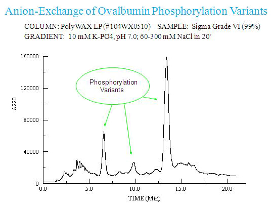 Anion-Exchange of Ovalbumin Phosphorylation Variants Anion-Exchange of Ovalbumin Phosphorylation Variants