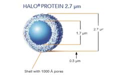HALO Protein 2.7µm HALO Protein 2.7µm