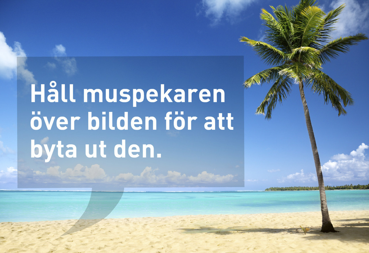 HD v kön