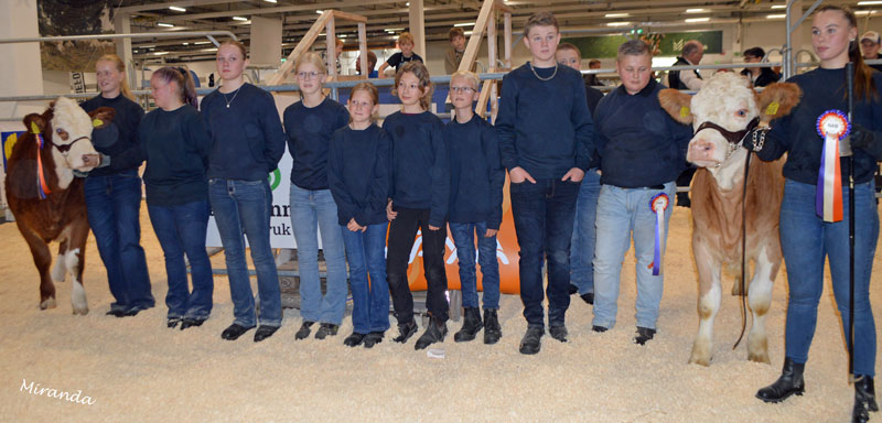 Deltagare i Köttrasungdoms Showmanship tävlingar.