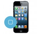 iPhone 5 iPhone 5