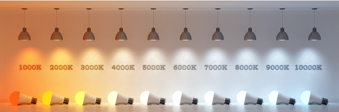 30262746-Tt4xK.png