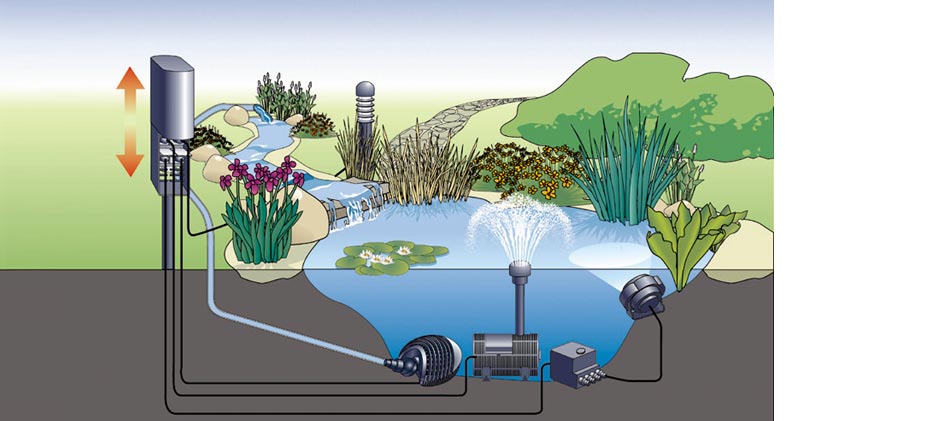 Oase insenio Oase insenio