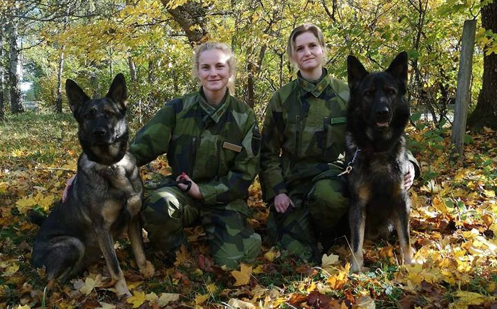 Louise och Jebas Önja patrullhund, Carolin och Jebas Övall patrullhund. Louise och Jebas Önja patrullhund, Carolin och Jebas Övall patrullhund.