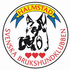 medlemsträning halmstad hundarena medlemsträning halmstad hundarena