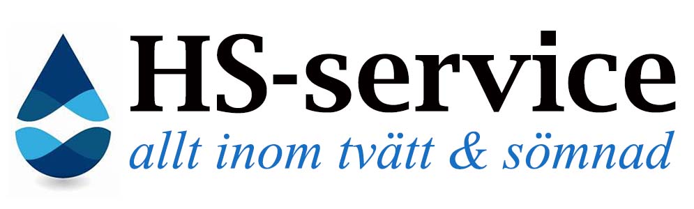 HS-service NY LOGO 2024