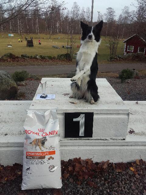 Att vinna 15 kg av det foder man redan använder är verkligen inte dumt! :-) Att vinna 15 kg av det foder man redan använder är verkligen inte dumt! :-)