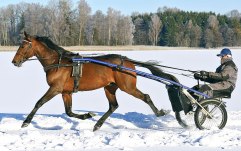 Såfint kan det vara en solig dag på sjön!