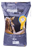hippopromusli hippopromusli
