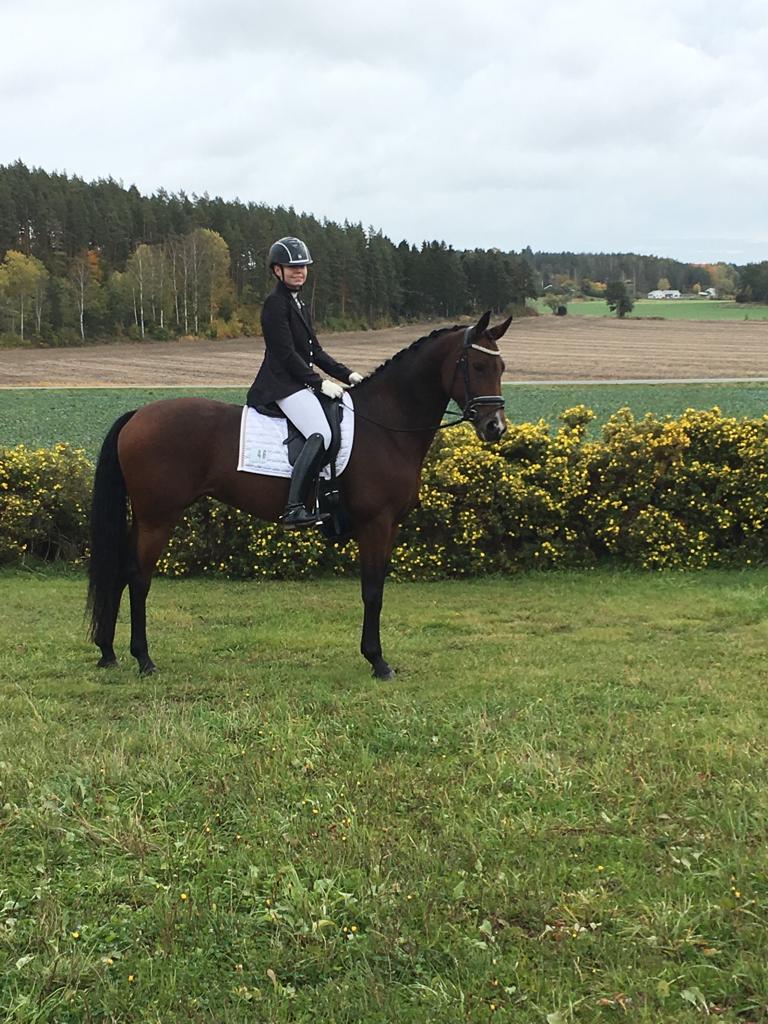 Rocky på Vikbolandet Rocky på Vikbolandet