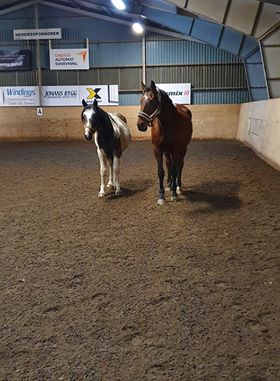 Cherokee och Wellie :-) Cherokee och Wellie :-)