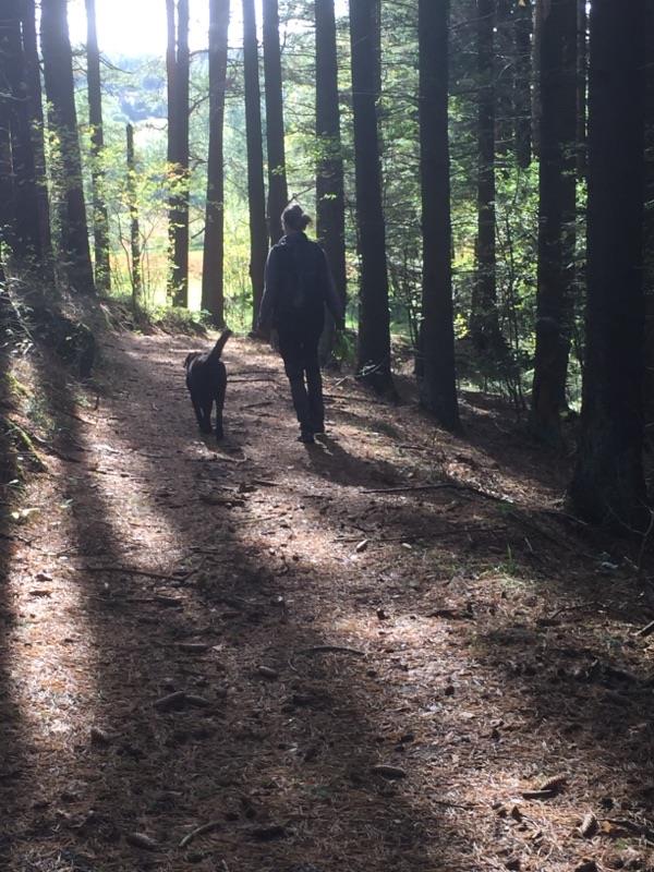 Återhämtning i naturen en viktig del i min vardag Återhämtning i naturen en viktig del i min vardag