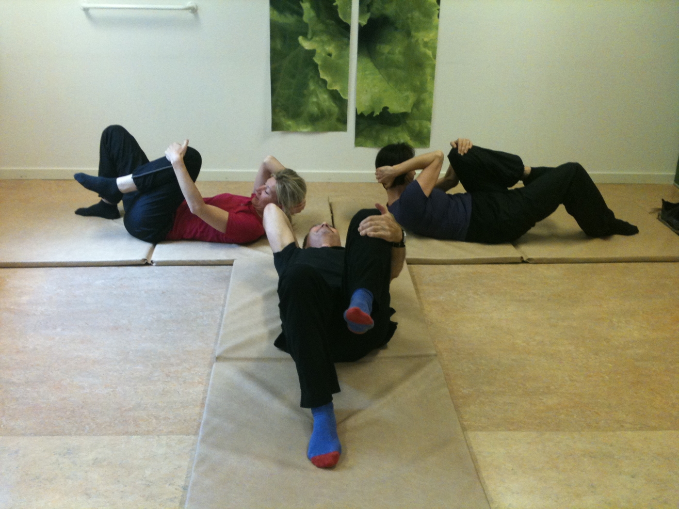 Zen Rörelser Feldenkraismetoden: Individuell, grupp, kurs, Medvetenhet i rörelse.