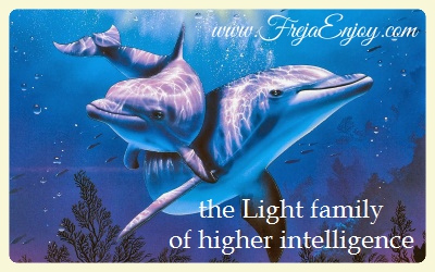 We are here to Enlighten - EnJoy - We Love You! We are here to Enlighten - EnJoy - We Love You!