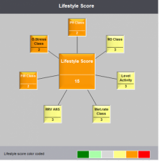 Lifestyle score före insatser Lifestyle score före insatser