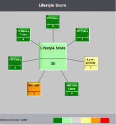 Lifestyle score efter insatser Lifestyle score efter insatser