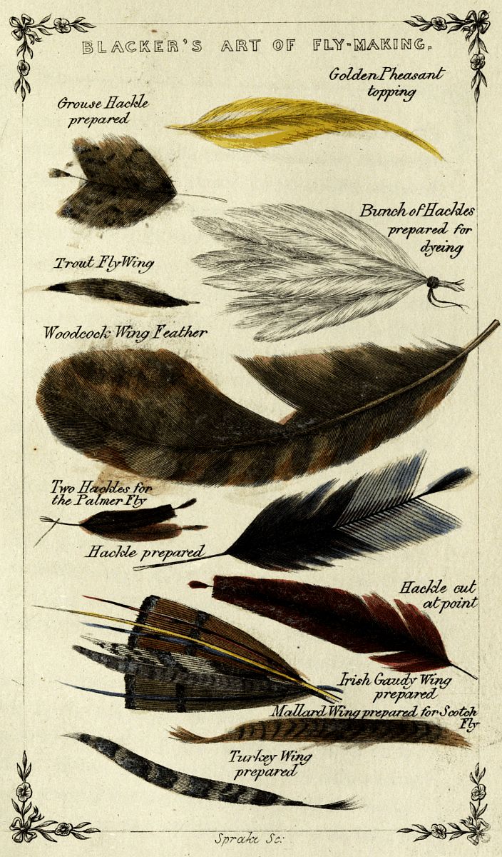 Illustration ur; Blacker's Art of Fly Making, &c. Comprising Angling, & Dyeing of Colours, with Engravings of Salmon & Trout Flies Illustration ur; Blacker's Art of Fly Making, &c. Comprising Angling, & Dyeing of Colours, with Engravings of Salmon & Trout Flies