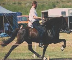 Ryttare: Niels Lund . Ryttare: Niels Lund .