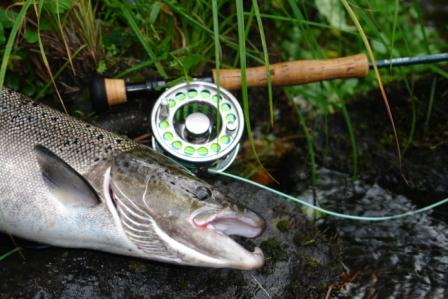 Har du bokat ditt höstfiske? Har du bokat ditt höstfiske?