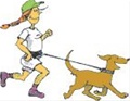 Dogwalking Dogwalking