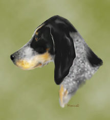 Lizzie - "ritad" i Photoshop Lizzie - "ritad" i Photoshop