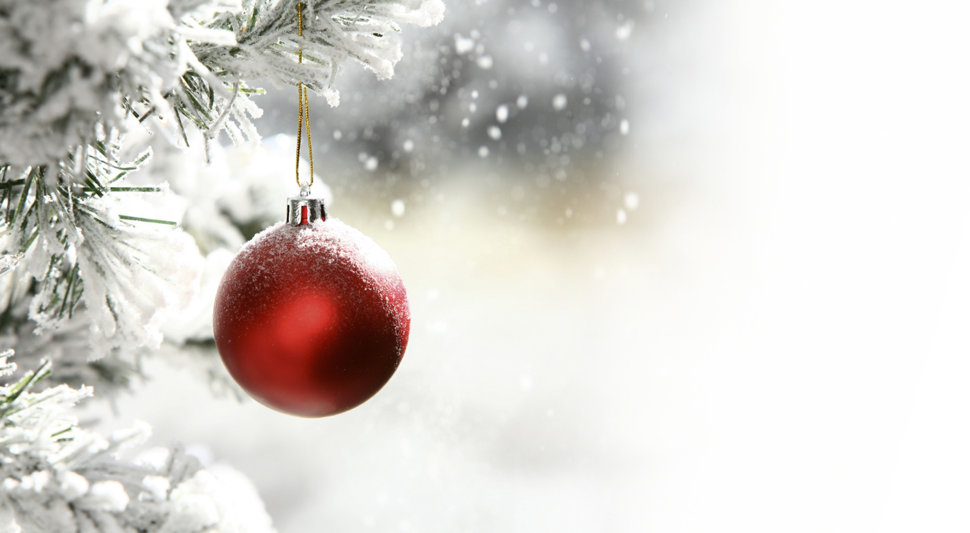 ludvig summerar 2014 önskar en god jul hemsida24 what s for christmas 2019