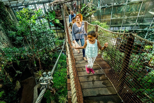 Bild: Universeum Bild: Universeum