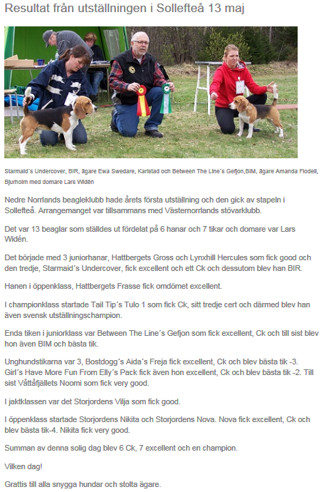 Hur stor är en hund Dick